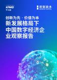 新发展格局下中国数字经济企业观察报告